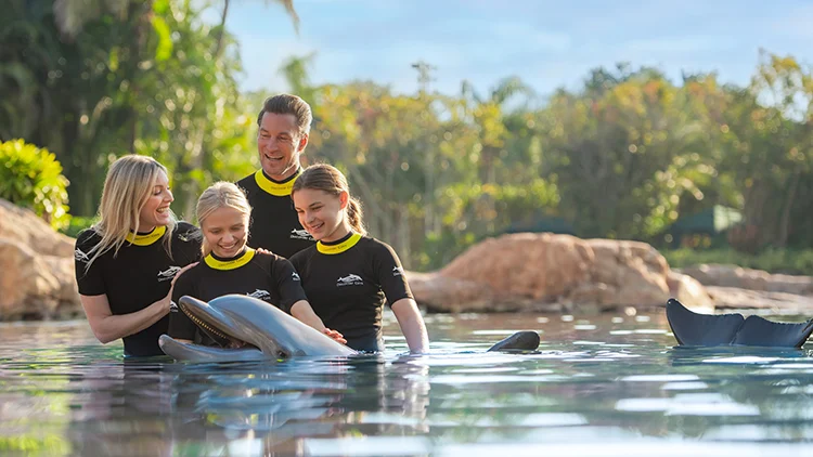 Discovery Cove Orlando - Calendar Tickets